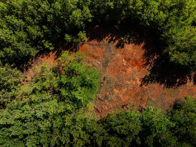 02 Bayshore Dr unit 2, Seneca, SC 29672 - photo 6