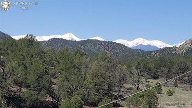 675 Black Gulch Rd, Cotopaxi, CO 81223 - photo 4