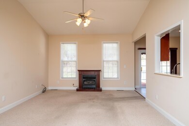 Living Room w Fireplace