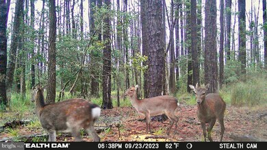 2839 Lakesville Crapo Rd, Church Creek, MD 21622 - photo 7