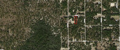 1754-051-004 SW 70th St, Dunnellon, FL 34431 - photo 2