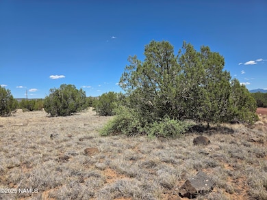 1804 N Frances Ln, Williams, AZ 86046 - photo 4