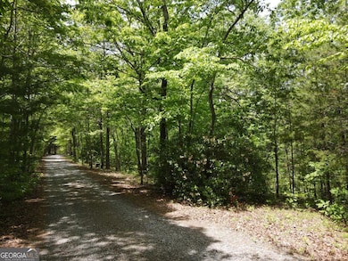 4.78 AC Hawkview, Hiawassee, GA 30546 - photo 4