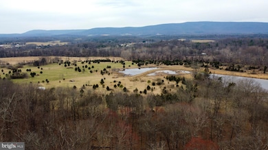 20 Hallows Way, Gerrardstown, WV 25420 - photo 7