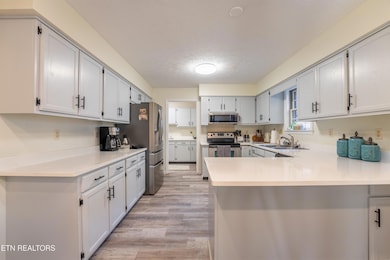 301 Cheestana Way, Loudon, TN 37774 - photo 7