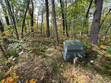 V/L 20A N Woodbridge Dr, Bitely, MI 49309 - photo 2