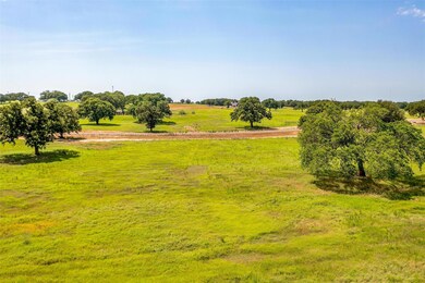 1028 Bluebonnet Ridge, Weatherford, TX 76087 - photo 3