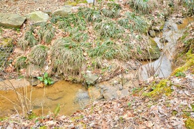 371 Blooming Laurel Dr, Hendersonville, NC 28792 - photo 3