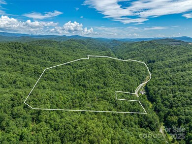 0 Frozen Creek Rd unit CAR4112325, Brevard, NC 28712 - photo 4