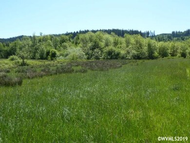 22451 Highway 20, Philomath, OR 97370 - photo 6