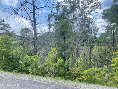 0 River Birch Way unit 1268846, Sevierville, TN 37862 - photo 4