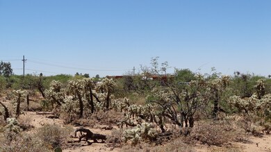 More desert landscape