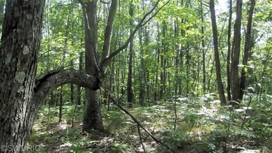 0 W Woodland Park Dr unit PAR D 13049198, Merrill Township, MI 49309 - photo 5