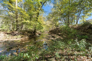 1036 Kaity Brooke Rd, Portland, TN 37148 - photo 4