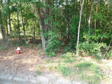 0 Briar Cliff Rd Lot 5 Bk E, Ozark, AL 36360 - photo 2