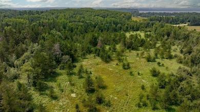 Track B Highway 87, Backus, MN 56435 - photo 3