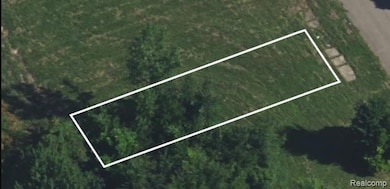 5361 Mitchell St, Detroit, MI 48211 - photo 5