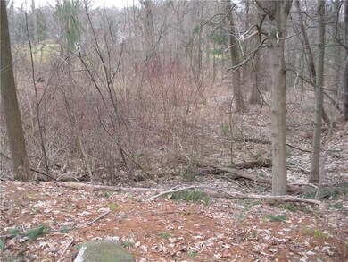 Extra lot. Mostly wooded
