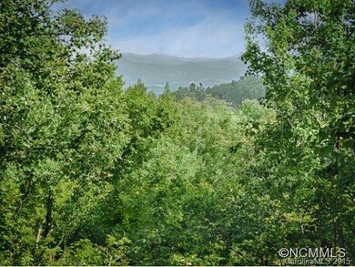 42 Heslar Way, Marshall, NC 28753 - photo 7