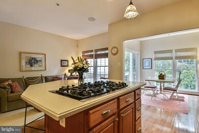 1109 Arrowleaf Ct, Crofton, MD 21114 - photo 7