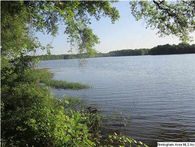 Water view from Lot 65