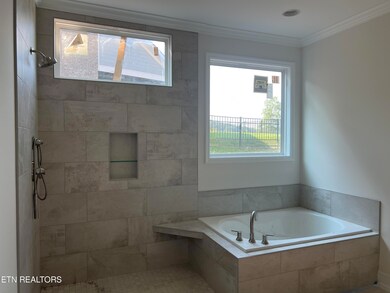 Owner's Bath