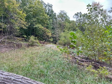 0 Lower Twin Rd, South Salem, OH 45681 - photo 6