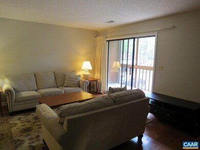 109 Turtle Creek Rd unit 8, Charlottesville, VA 22901 - photo 3
