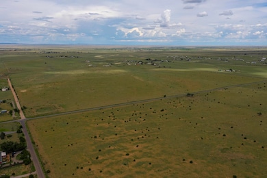 0 Lexico McNabb, Moriarty, NM 87035 - photo 4