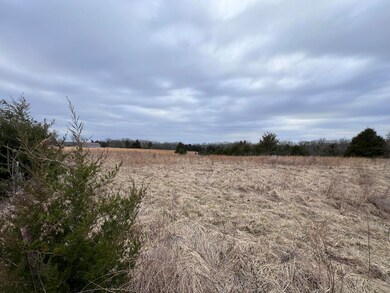 5539 Sillivan Dr, Fulton, MO 65251 - photo 4