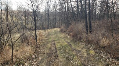 TBD Aurora Rd, Preble Township, MN 55954 - photo 4