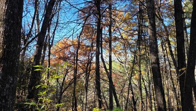 38 AC Tumbling Creek Rd, Postelle, TN 37317 - photo 6