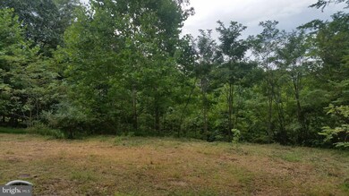 0 Gamble Ln unit 1002243754, Great Cacapon, WV 25422 - photo 5