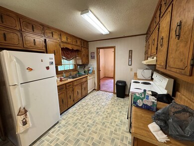 2172 Tails Creek Rd, Ellijay, GA 30540 - photo 5