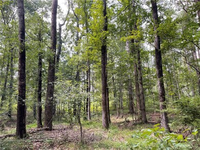 unlisted-address, Salem, AL 36874 - photo 3