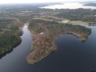 Lot 43 Oak River, Frankston, TX 75763 - photo 6