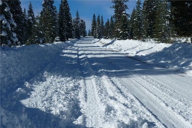 0 Echo Way unit ND25124728, McCloud, CA 96067 - photo 6