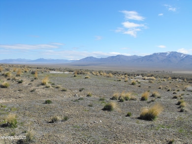 0 Coyote Canyon Rd unit 250058510, Unionville, NV 89418 - photo 7