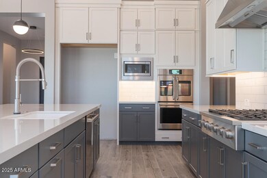 10114 S 38th Ln, Phoenix, AZ 85339 - photo 3