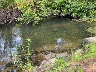 Flowing Stream
