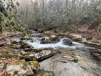 0 Bottom Creek Rd unit 922959, Bent Mountain, VA 24059 - photo 5