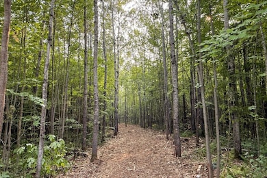 Lot 1 Cth C, Couderay, WI 54835 - photo 3