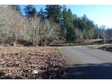 6600 SE Sartore Rd, Amity, OR 97101 - photo 4