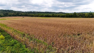 19.313 +/- acres Fisher Valley Rd, Dobson, NC 27017 - photo 2