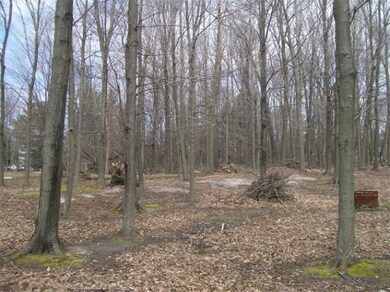 0 Mcmillan St unit 13020436, Onekama, MI 49765 - photo 7