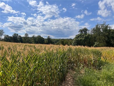 82 Mowry Rd, Clarksburg, PA 15725 - photo 4