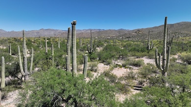 13585 E Placita Nido Del Aguila unit 1, Tanque Verde, AZ 85749 - photo 4