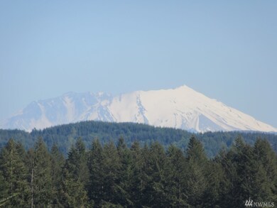 140 Mouse Meadows Ln, Toledo, WA 98591 - photo 3