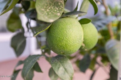 14052 N Newcastle Dr, Sun City, AZ 85351 - photo 7