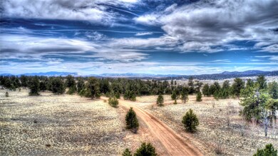 607 Shenandoah Path, Hartsel, CO 80449 - photo 4